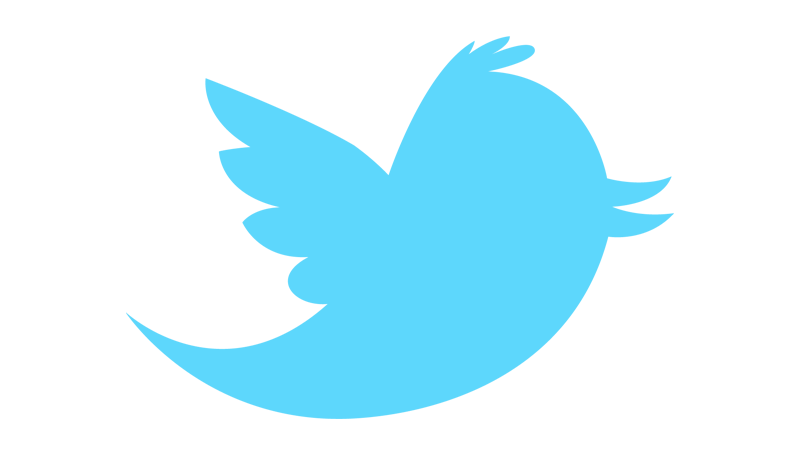 Larry the Twitter Bird